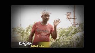 Mission Rayalaseema RAJAMPET | ఉద్యాన రైతుల కంట క‌న్నీరు | Yuvagalam Padayatra | s media