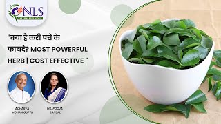 Health Benefits of Curry Leaves | Immunity Booster | Cost Effective | @NaturalLifeStyle