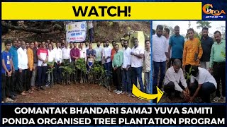#Watch! Gomantak Bhandari Samaj Yuva Samiti Ponda organised tree plantation program