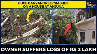 Huge banyan tree crashes on a house at Anjuna. Owner suffers loss of Rs 2 lakh