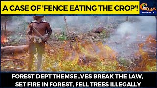 #MustWatch | A Case of 'Fence Eating the Crop'!
