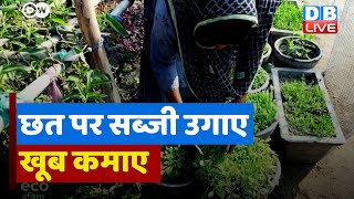 गार्डन प्रॉजेक्ट से मिल रहा है गरीबों को पोषण | Garden Project | #EcoIndia | #dblive | India News