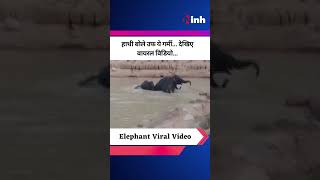 Elephant Viral Video: हाथी बोले उफ ये गर्मी...| तालाब में गजराज की मस्ती | Youtube Shorts