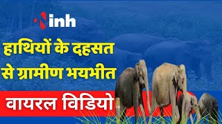 Elephant Viral Video: रिहायशी इलाके में घुसा 5 हाथियों का दल, रहवासियों में दहशत का माहौल