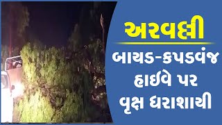 અરવલ્લી: બાયડ-કપડવંજ હાઇવે પર વૃક્ષ ધરાશાયી