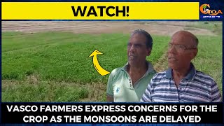#Watch! Vasco farmers express concerns for the crop as the monsoons are delayed