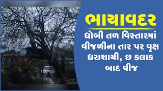 ભાયાવદર: ધોબી તળ વિસ્તારમાં વીજળીના તાર પર વૃક્ષ ધરાશાયી, છ કલાક બાદ વીજ પુરવઠો શરૂ