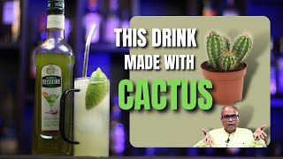 How to make a Cocktail with Cactus? Hindi | MTSR Cactus Collins | Mathieu Teisseire | MTSR