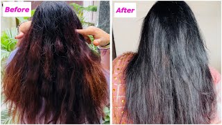 Hair Color For Diwali at Home in 30 Mins | L’Oreal Paris CCG UV | JSuper Kaur