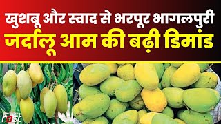 Mango Season || उपभोक्ताओं के बीच भागलपुरी जर्दालू आम की बढ़ी डिमांड || Khabar Fast