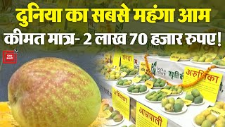 Chhattisgarh में लगी आमों की प्रदर्शनी, एक किलो आम की कीमत 2 लाख 70 हजार रुपए! | Latest News