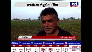 Rajkot : વરસાદ આવવામાં મોડુ થતા ખેડૂતોમાં ચિંતા | MantavyaNews