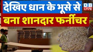 देखिए धान के भूसे से बना शानदार फर्नीचर | Rice husks, India's plywood industry | #ecoindia #dblive