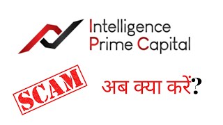 IP Capital and ROYALQ Scam Exposed | अब क्या होगा? | FOREX SCAM