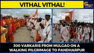 Vithal Vithal! 300 varkaris from Mulgao on a walking pilgrimage to Pandharpur