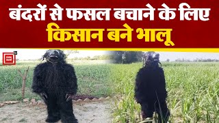 Lakhimpur Kheri में बंदरों से फसल बचाने के लिए किसान बने भालू | Latest News
