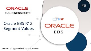 Oracle EBS R12 Segment Values | Oracle APPs Tutorial | Getting Started with Oracle EBS | EBS BISP