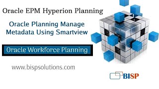 Oracle Planning Manage Metadata Using Smartview | Oracle Planning Application Maintenance | BISP