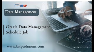 Oracle Data Management Schedule Job | Oracle Data Management Batch Loader | Data Management by BISP