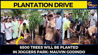 Mauvin Godinho launches plantation drive by planting saplings at joggers park.