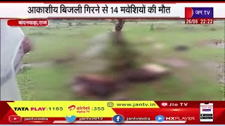 Bandanwada Rajasthan | आकाशीय बिजली गिरने से 14 मवेशियों की मौत,   प्रशासन की टीम ने  किया मुआयना