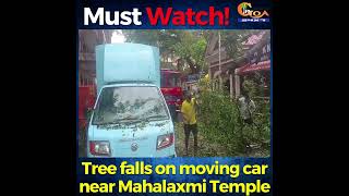 #MustWatch | Tree falls on moving car near Mahalaxmi Temple