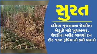 સુરત: દક્ષિણ ગુજરાતના શેરડીના ખેડૂતો માટે ખુશખબર,શેરડીના ખરીદ ભાવમાં ટન દીઠ 100 રૂપિયાનો કર્યો વધારો