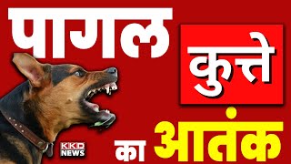 पागल कुत्ते का आतंक | UP News Hindi | Dog Attack News | Jalaun News | KKD NEWS