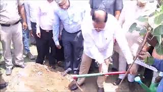 श्री नरेंद्र मोदी जी ने सदस्यता पर्व के अवसर पर सभी देशवासियों से 5- 5 पौधे लगाने का अनुरोध किया है।