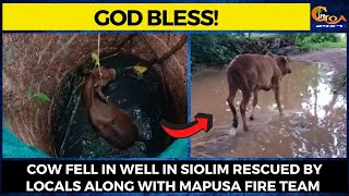 #GodBless! Cow fell in well in Siolim rescued by locals along with Mapusa fire team