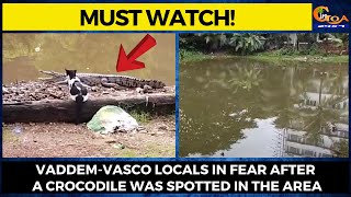 #MustWatch! Vaddem-Vasco locals in fear after a crocodile was spotted in the area