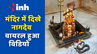 मंदिर में शिवलिंग पर लिपटा मिला सांप, दर्शन के लिए भक्तो की उमड़ी भीड़ | Viral Video