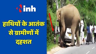Elephant Attack : हाथियों के खौफ के साये में जी रहे है गांववासी, वनविभाग पर लगये आरोप | Forest