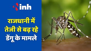 Dengue Cases:  राजधानी में तेजी से बढ़ रहे डेंगू के मामले | रोकथाम करने में स्वास्थ्य अमला नाकाम