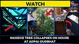 #Watch- Massive tree collapses on house at Adpai-Durbhat