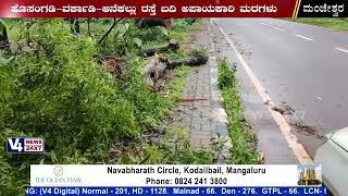 Hosangadi-Varkadi-Anekallu road side dangerous trees | ಹೊಸಂಗಡಿ-ವರ್ಕಾಡಿ-ಆನೆಕಲ್ಲು ಅಪಾಯಕಾರಿ ಮರಗಳು