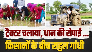 Haryana में किसानों के बीच पहुंचे जननायक Rahul Gandhi, देश की अन्नदाता की परेशानियां सुनीं | Sonipat