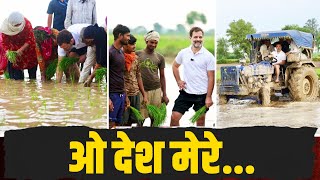 देश के अन्नदाता के बीच जननायक... | Rahul Gandhi Interacts With Farmers, Haryana Sonipat