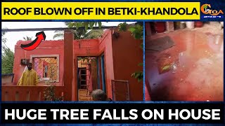 Roof blown off in Betki-Khandola. Huge tree falls on house