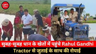 Sonipath : सुबह-सुबह धान के खेतों में पहुंचे Rahul Gandhi ,Tractor से जुताई के साथ की रोपाई
