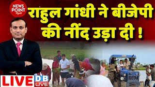 #dblive News Point Rajiv: Rahul Gandhi ने BJP की नींद उड़ा दी ! Rahul Gandhi Planting Paddy | modi