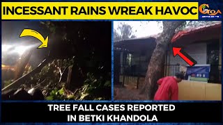 Incessant rains wreak havoc- Tree fall cases reported in Betki Khandola