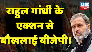 Rahul Gandhi के एक्शन से बौखलाई BJP ! Dushyant chautala | Anil Vij | Breaking News | #dblive