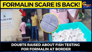 Formalin scare is back! Doubts raised about fish testing for formalin at border