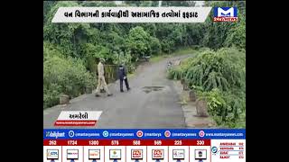 Amreli : વન વિભાગ દ્વારા કોમ્બિંગ હાથ ધરાયું | MantavyaNews