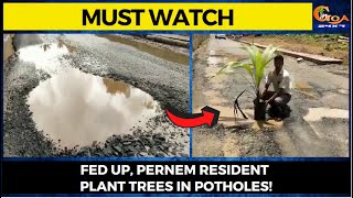 #MustWatch- Fed up, Pernem resident plant trees in potholes!