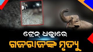 ଟ୍ରେନ ନେଇଗଲା ଦୁଇ ହାତୀ ଜୀବନ // Elephant Death In Train Accident // Headlines Odisha