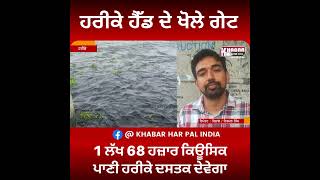 Harike Head Open All Gate | ਲੋਕਾਂ ਦੇ ਸੂਤੇ ਸਾਹ | Flood Update | Heavy Rain In Punjab
