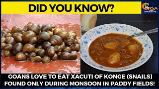 #DidYouKnow- Goans love to eat Xacuti of Konge (snails) found only during monsoon in paddy fields!