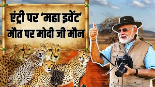 एंट्री पर हुआ ‘महा इवेंट’ लेकिन 7 चीतों की मौत पर मोदी जी क्यों मौन? | Kuno National Park | Cheetah